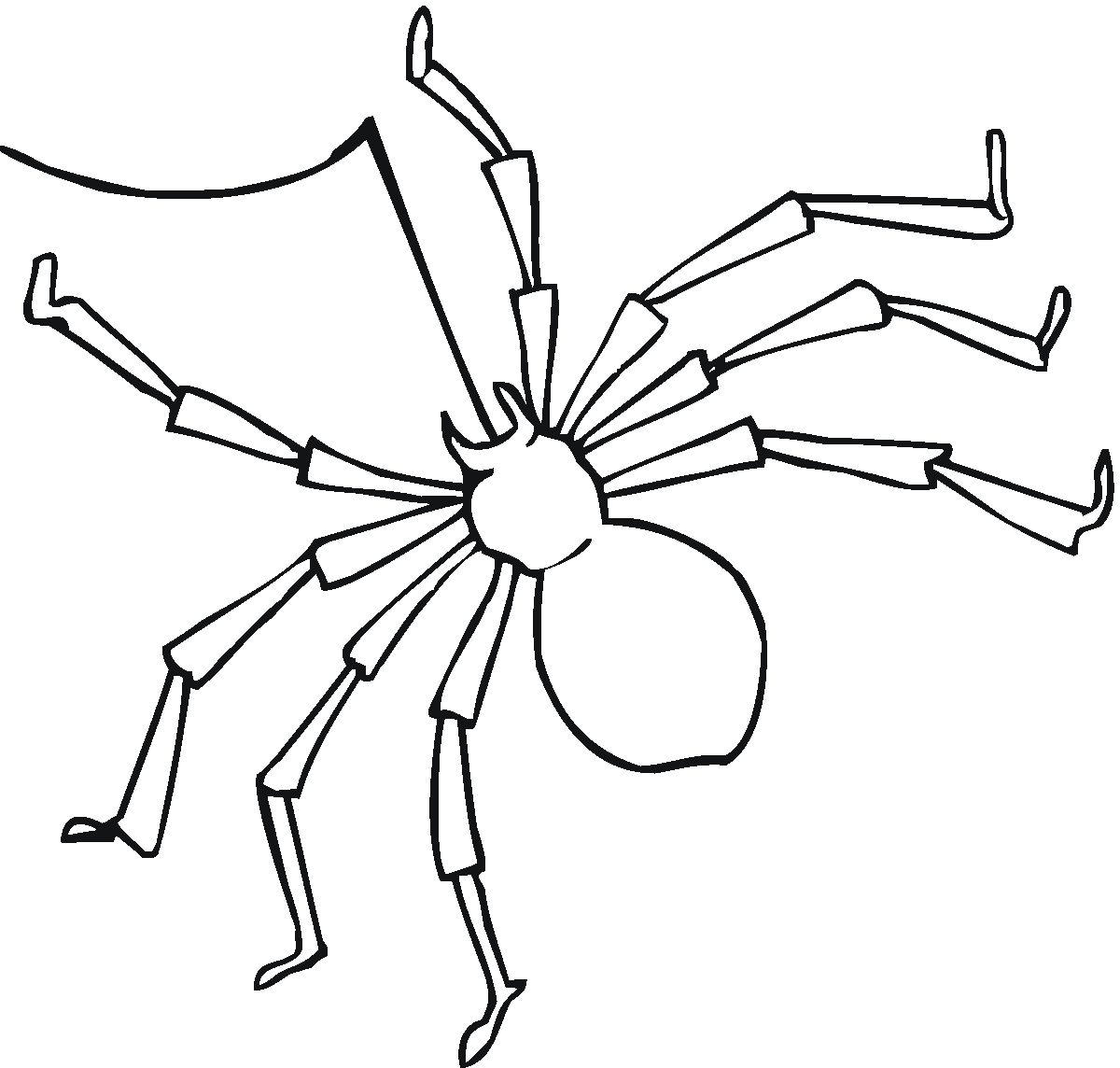 Dessin à colorier: Araignée (Animaux) #597 - Coloriages à Imprimer Gratuits
