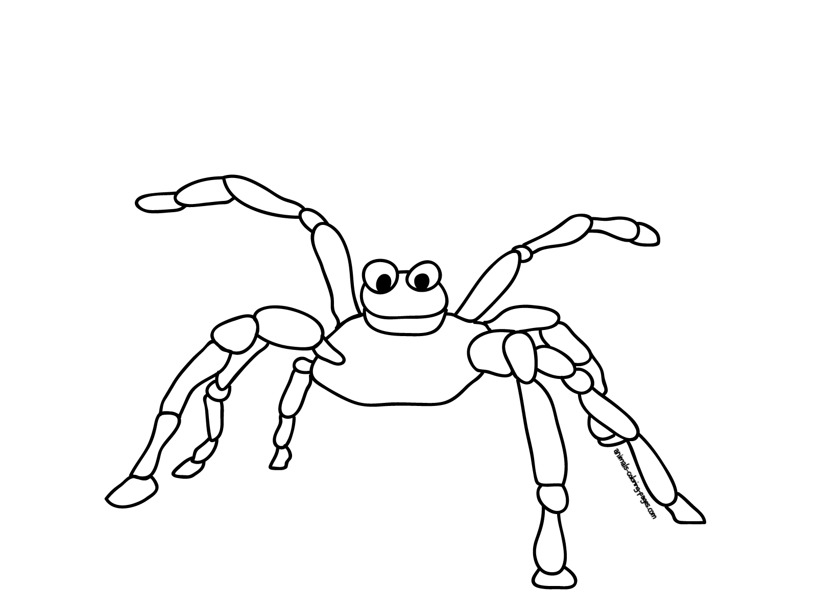 Dessin à colorier: Araignée (Animaux) #611 - Coloriages à Imprimer Gratuits