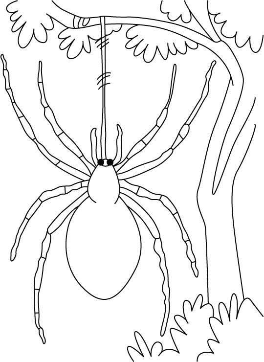 Dessin à colorier: Araignée (Animaux) #636 - Coloriages à Imprimer Gratuits