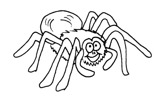 Dessin à colorier: Araignée (Animaux) #656 - Coloriages à Imprimer Gratuits