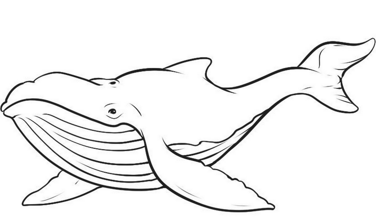 Dessin à colorier: Baleine (Animaux) #865 - Coloriages à Imprimer Gratuits