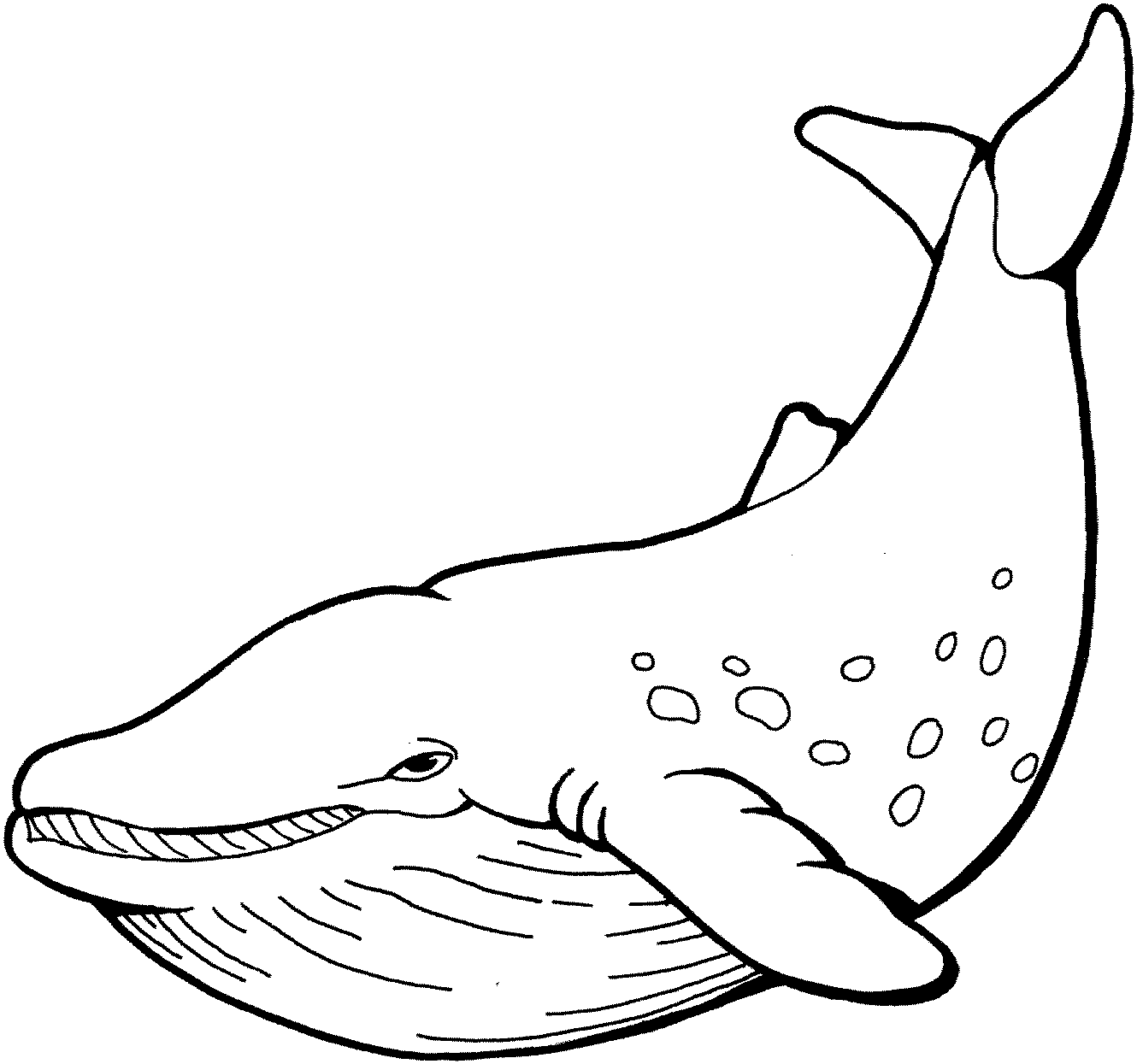 Dessin à colorier: Baleine (Animaux) #866 - Coloriages à Imprimer Gratuits