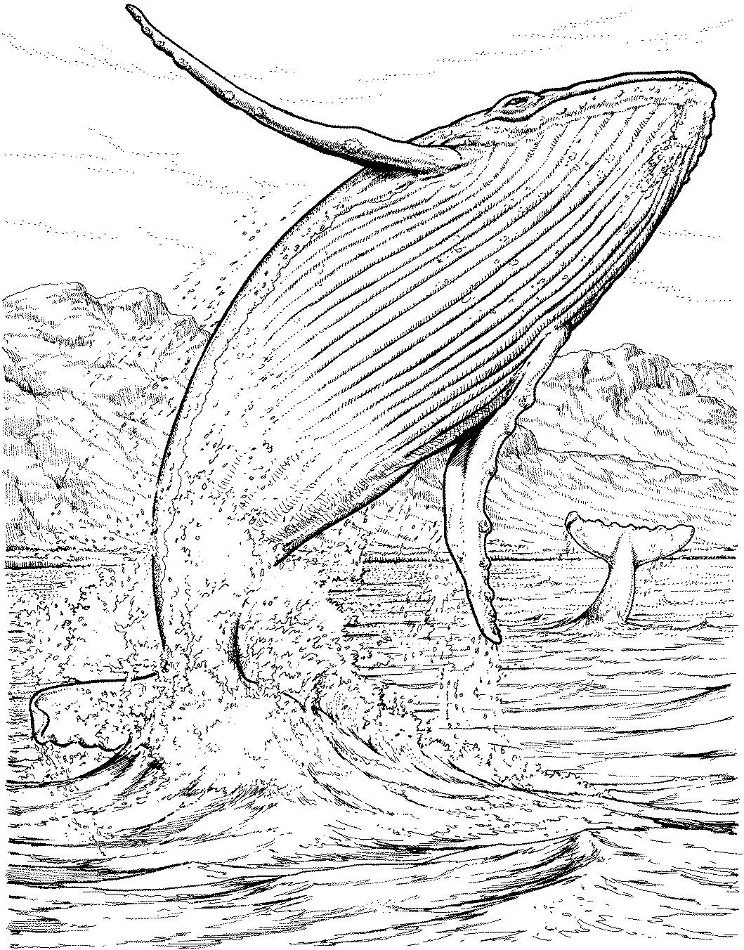 Dessin à colorier: Baleine (Animaux) #876 - Coloriages à Imprimer Gratuits