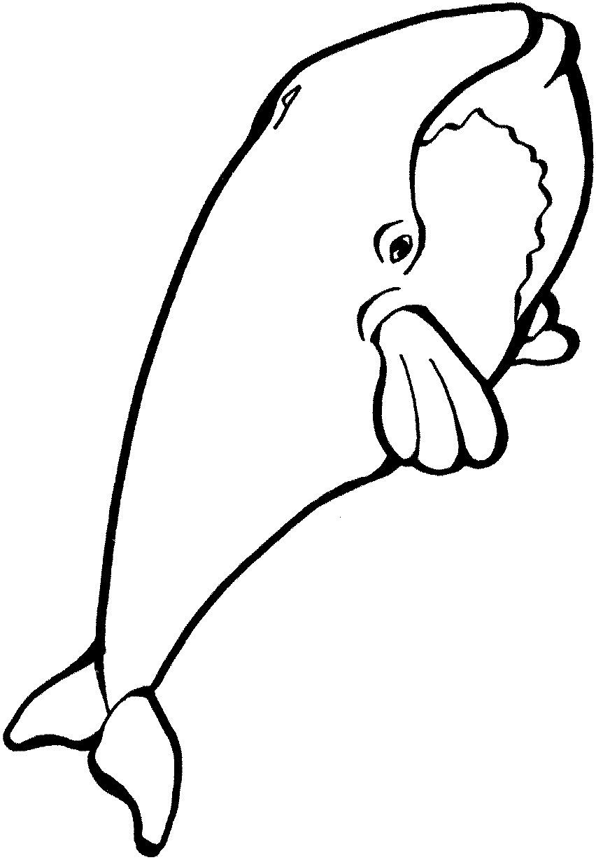 Dessin à colorier: Baleine (Animaux) #880 - Coloriages à Imprimer Gratuits