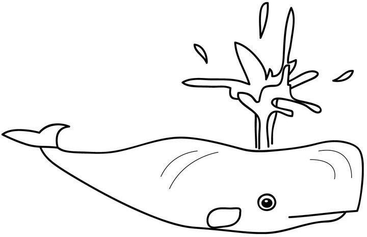 Dessin à colorier: Baleine (Animaux) #919 - Coloriages à Imprimer Gratuits