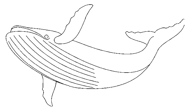 Dessin à colorier: Baleine (Animaux) #922 - Coloriages à Imprimer Gratuits