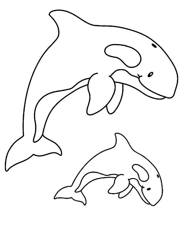 Dessin à colorier: Baleine (Animaux) #932 - Coloriages à Imprimer Gratuits