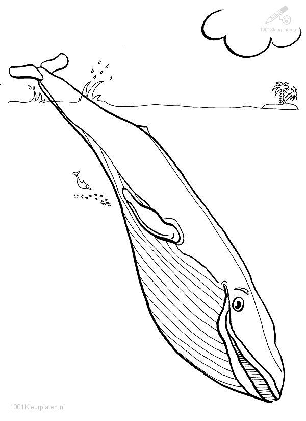 Dessin à colorier: Baleine (Animaux) #937 - Coloriages à Imprimer Gratuits