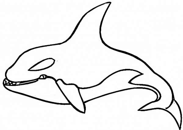 Dessin à colorier: Baleine (Animaux) #941 - Coloriages à Imprimer Gratuits