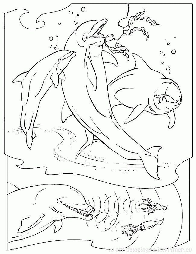 Dessin à colorier: Baleine (Animaux) #961 - Coloriages à Imprimer Gratuits