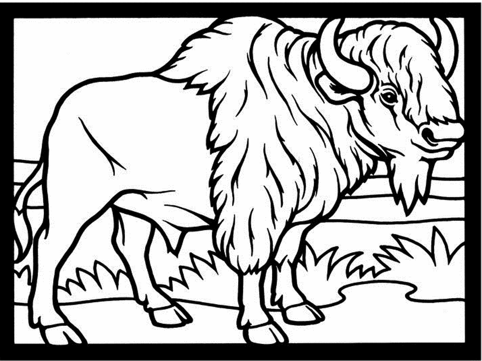 Dessin à colorier: Bison (Animaux) #1191 - Coloriages à Imprimer Gratuits