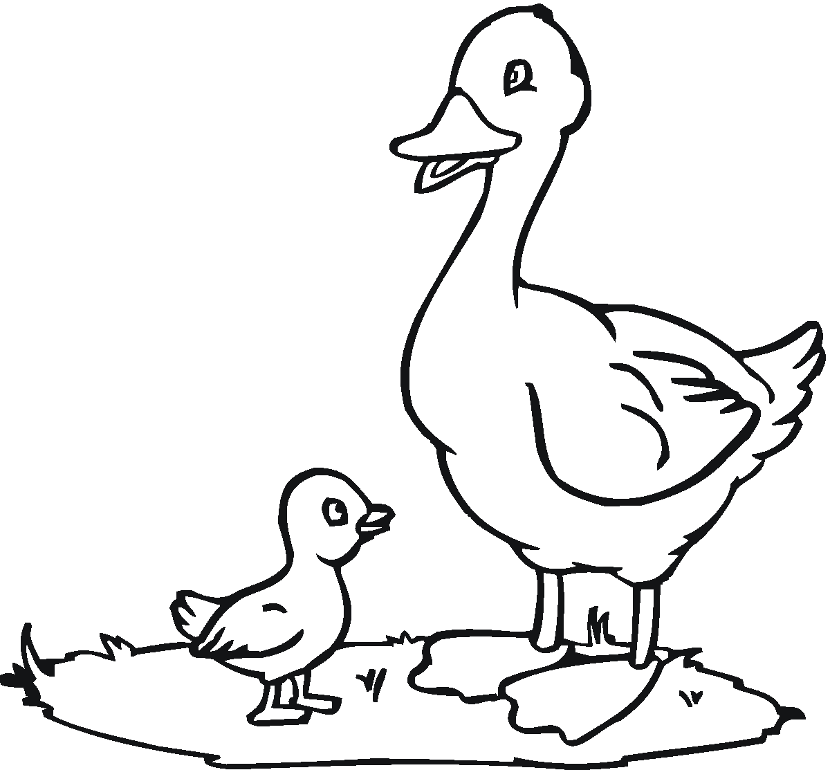 Dessin à colorier: Canard (Animaux) #1442 - Coloriages à Imprimer Gratuits
