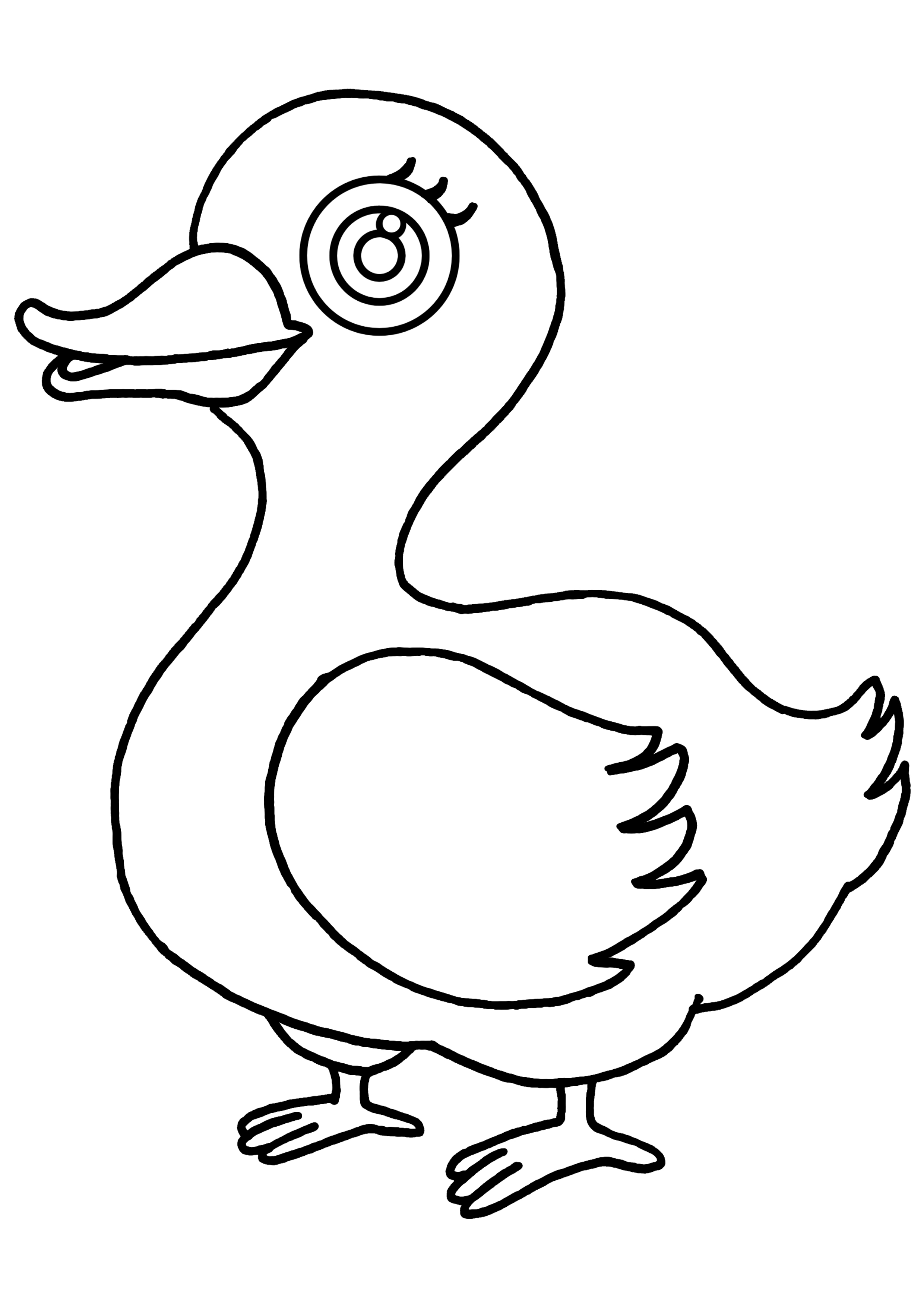 Dessin à colorier: Canard (Animaux) #1507 - Coloriages à Imprimer Gratuits