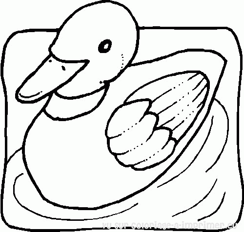 Dessin à colorier: Canard (Animaux) #1508 - Coloriages à Imprimer Gratuits
