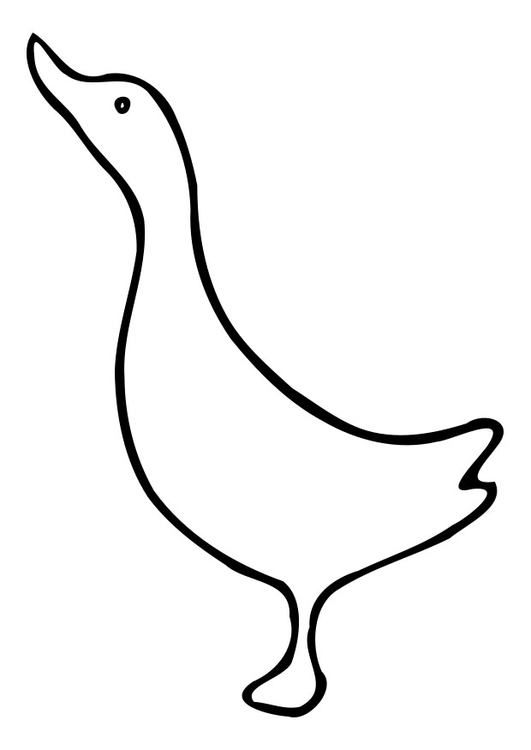 Dessin à colorier: Canard (Animaux) #1514 - Coloriages à Imprimer Gratuits