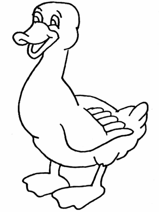 Dessin à colorier: Canard (Animaux) #1524 - Coloriages à Imprimer Gratuits