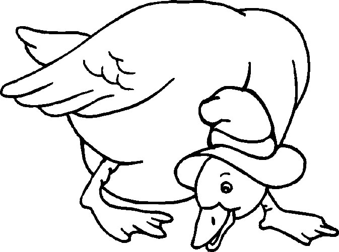 Dessin à colorier: Canard (Animaux) #1539 - Coloriages à Imprimer Gratuits