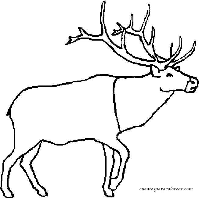 Dessin à colorier: Caribou (Animaux) #1543 - Coloriages à Imprimer Gratuits