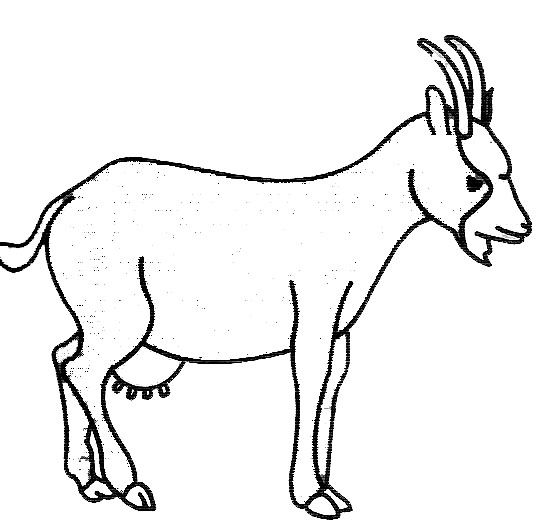 Dessin à colorier: Chèvre (Animaux) #2396 - Coloriages à Imprimer Gratuits
