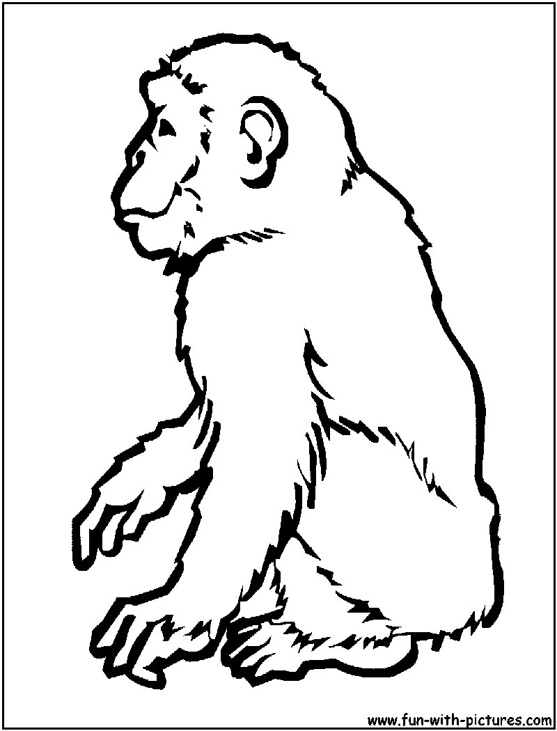 Dessin à colorier: Chimpanzé (Animaux) #2794 - Coloriages à Imprimer Gratuits