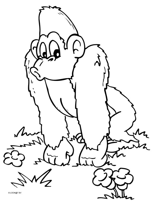 Dessin à colorier: Chimpanzé (Animaux) #2826 - Coloriages à Imprimer Gratuits