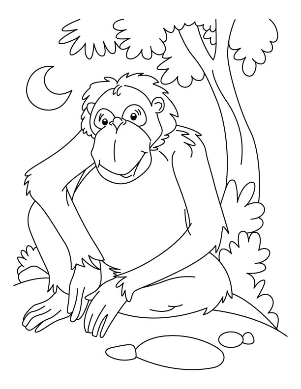 Dessin à colorier: Chimpanzé (Animaux) #2827 - Coloriages à Imprimer Gratuits