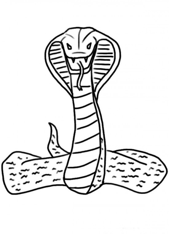 Dessin à colorier: Cobra (Animaux) #3228 - Coloriages à Imprimer Gratuits