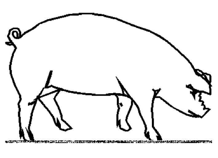 Dessin à colorier: Cochon (Animaux) #3643 - Coloriages à Imprimer Gratuits