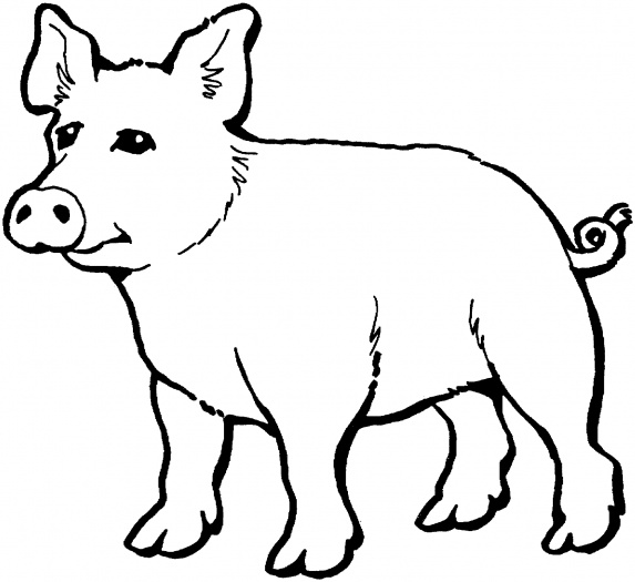 Dessin à colorier: Cochon (Animaux) #3671 - Coloriages à Imprimer Gratuits