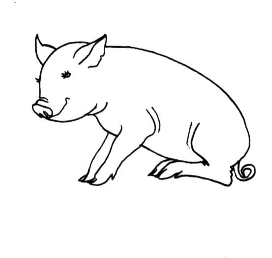 Dessin à colorier: Cochon (Animaux) #3744 - Coloriages à Imprimer Gratuits
