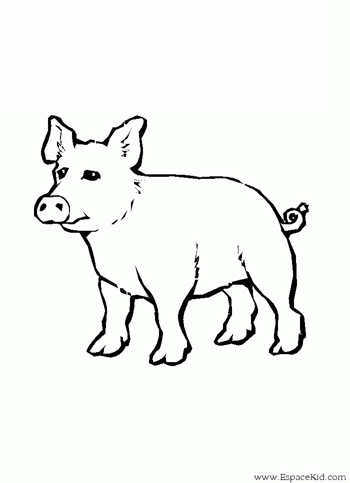 Dessin à colorier: Cochon (Animaux) #3765 - Coloriages à Imprimer Gratuits
