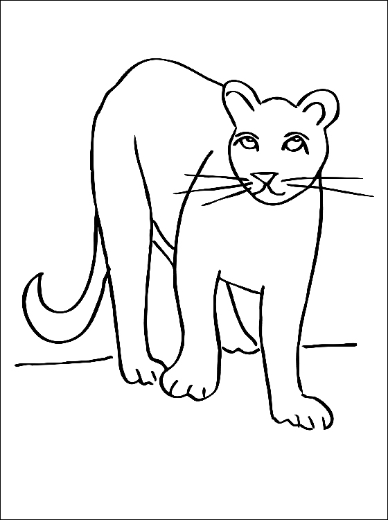Dessin à colorier: Cougar (Animaux) #4384 - Coloriages à Imprimer Gratuits
