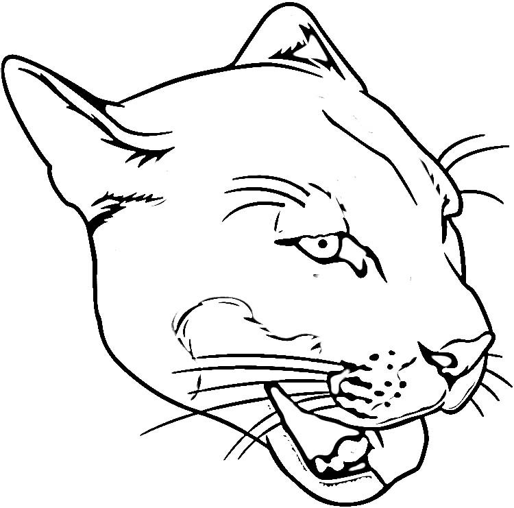 Dessin à colorier: Cougar (Animaux) #4415 - Coloriages à Imprimer Gratuits