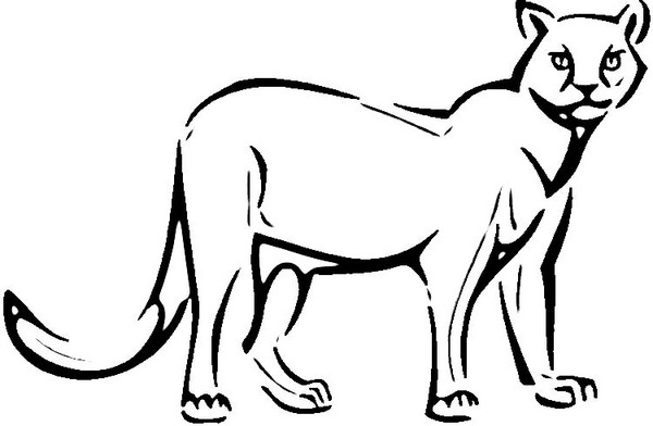 Dessin à colorier: Cougar (Animaux) #4441 - Coloriages à Imprimer Gratuits