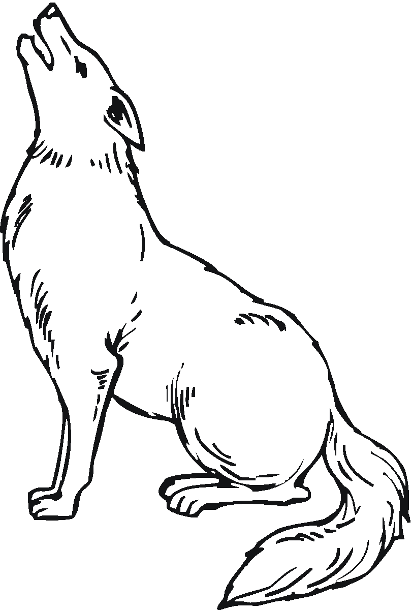 Dessin à colorier: Coyote (Animaux) #4492 - Coloriages à Imprimer Gratuits