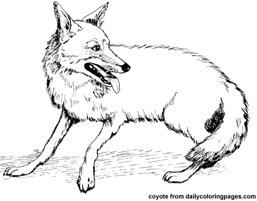 Dessin à colorier: Coyote (Animaux) #4526 - Coloriages à Imprimer Gratuits