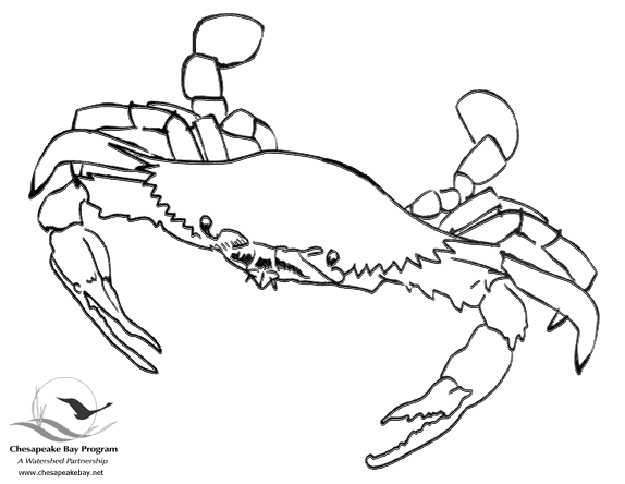 Dessin à colorier: Crabe (Animaux) #4592 - Coloriages à Imprimer Gratuits