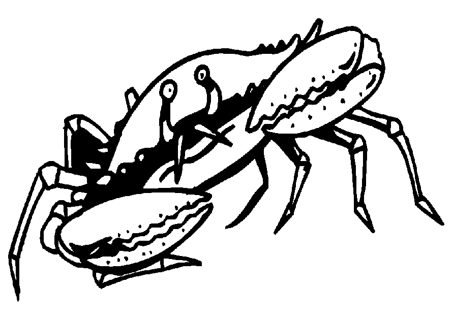 Dessin à colorier: Crabe (Animaux) #4602 - Coloriages à Imprimer Gratuits