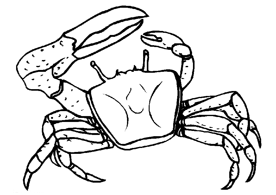 Dessin à colorier: Crabe (Animaux) #4613 - Coloriages à Imprimer Gratuits