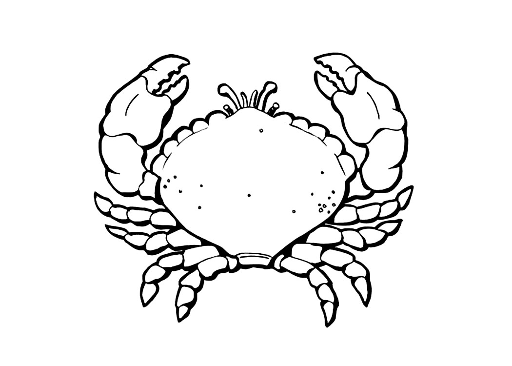Dessin à colorier: Crabe (Animaux) #4629 - Coloriages à Imprimer Gratuits