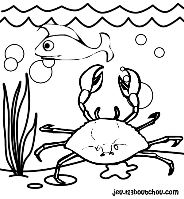 Dessin à colorier: Crabe (Animaux) #4663 - Coloriages à Imprimer Gratuits