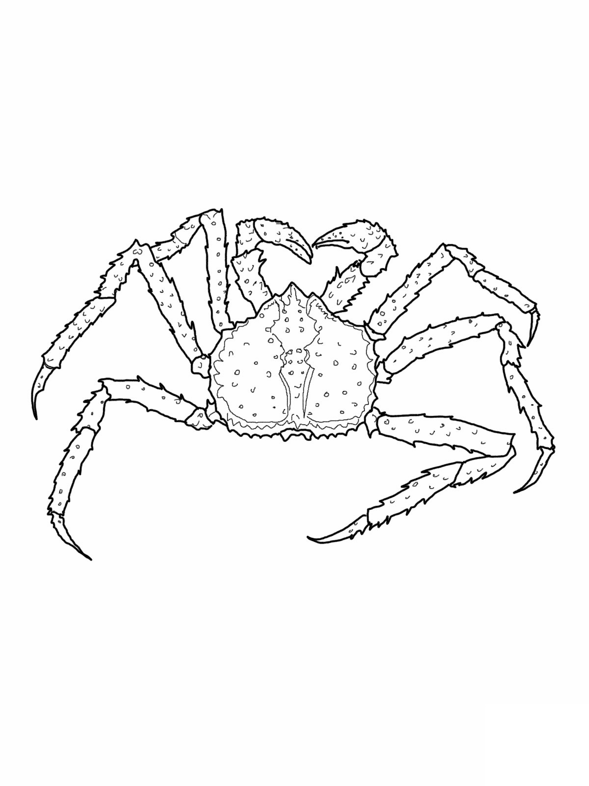 Dessin à colorier: Crabe (Animaux) #4675 - Coloriages à Imprimer Gratuits