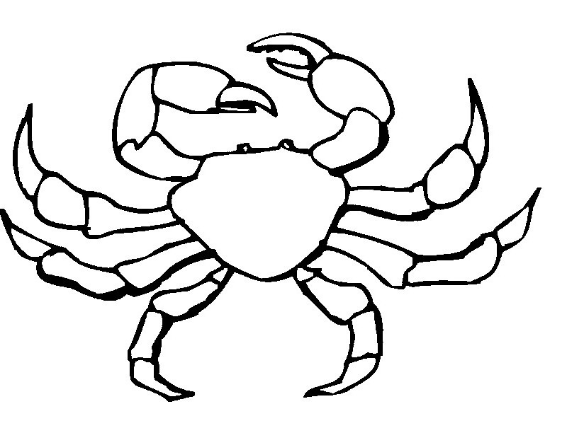 Dessin à colorier: Crabe (Animaux) #4691 - Coloriages à Imprimer Gratuits