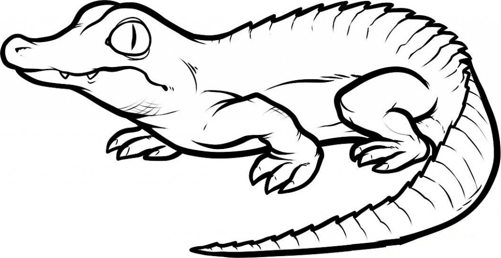 Dessin à colorier: Crocodile (Animaux) #4812 - Coloriages à Imprimer Gratuits