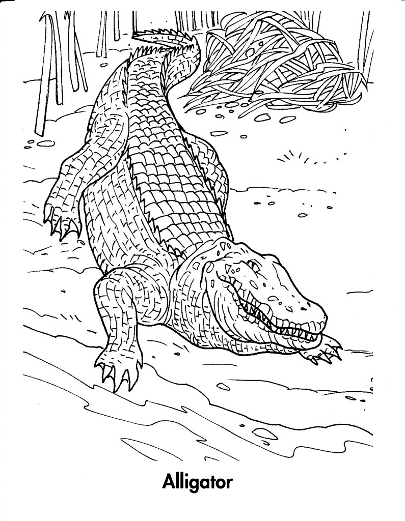 Dessin à colorier: Crocodile (Animaux) #4825 - Coloriages à Imprimer Gratuits