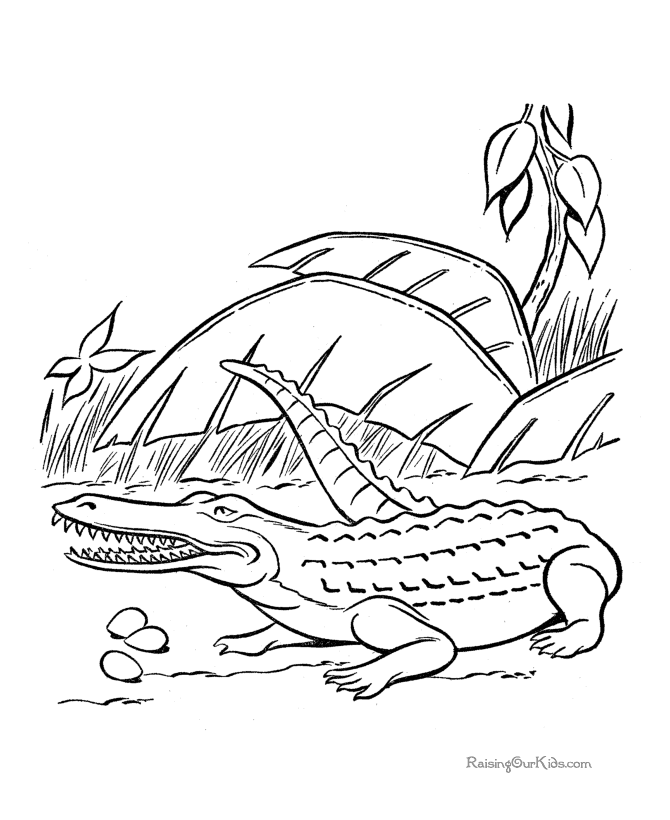 Dessin à colorier: Crocodile (Animaux) #4827 - Coloriages à Imprimer Gratuits