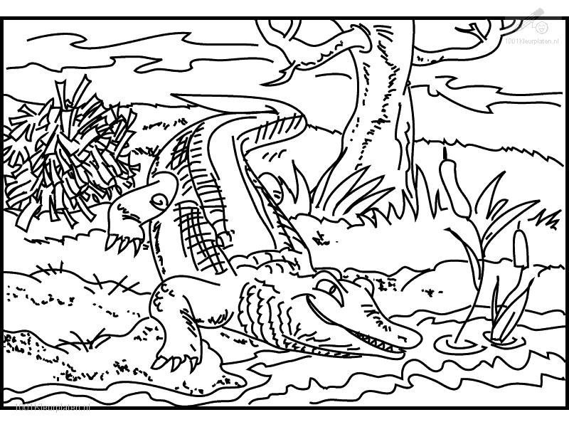 Dessin à colorier: Crocodile (Animaux) #4942 - Coloriages à Imprimer Gratuits