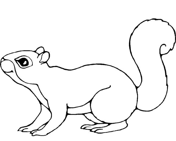 Dessin à colorier: Écureuil (Animaux) #6113 - Coloriages à Imprimer Gratuits