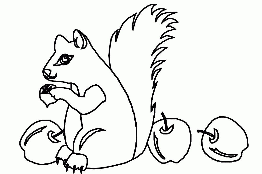Dessin à colorier: Écureuil (Animaux) #6124 - Coloriages à Imprimer Gratuits