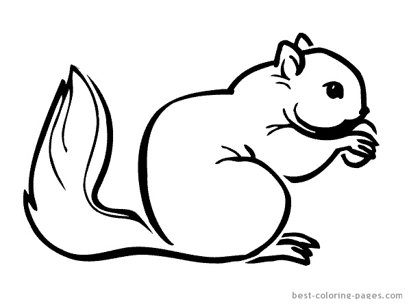 Dessin à colorier: Écureuil (Animaux) #6240 - Coloriages à Imprimer Gratuits